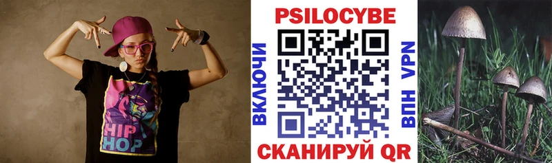 Псилоцибиновые грибы Magic Shrooms  Купить где  Ахтубинск 