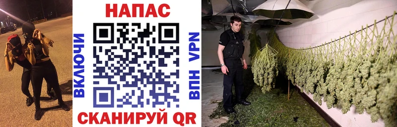 Купить где  Ахтубинск  МАРИХУАНА планчик 
